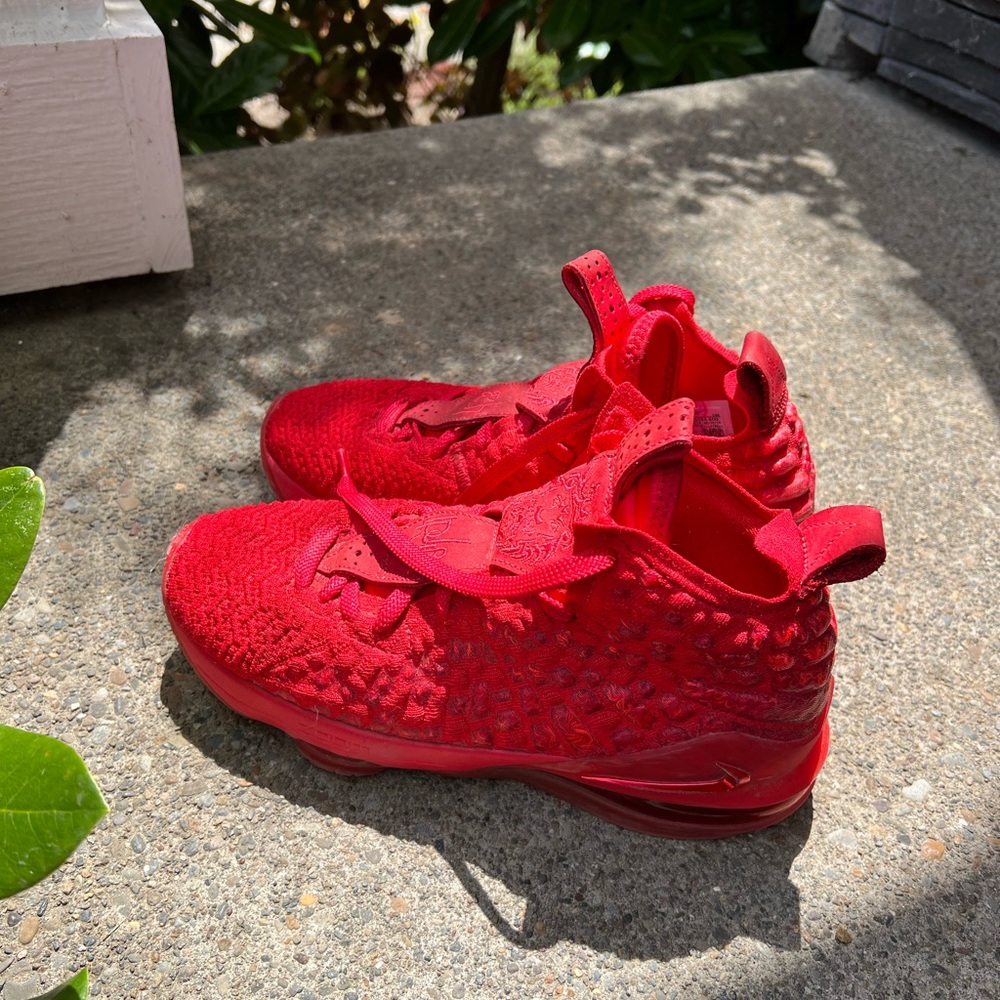Nike Lebron James BB shoes